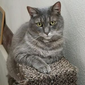 Meet your Posher, Patricia